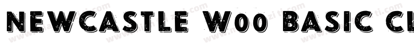 Newcastle W00 Basic Clean字体转换